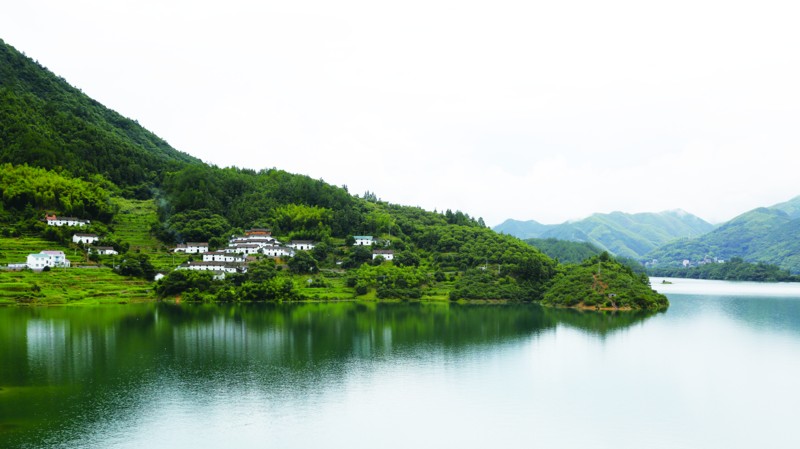 今日衢江 - 青山绿树水潺潺 崇德向善代代传